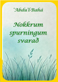 Nokkrum spurningum svarað